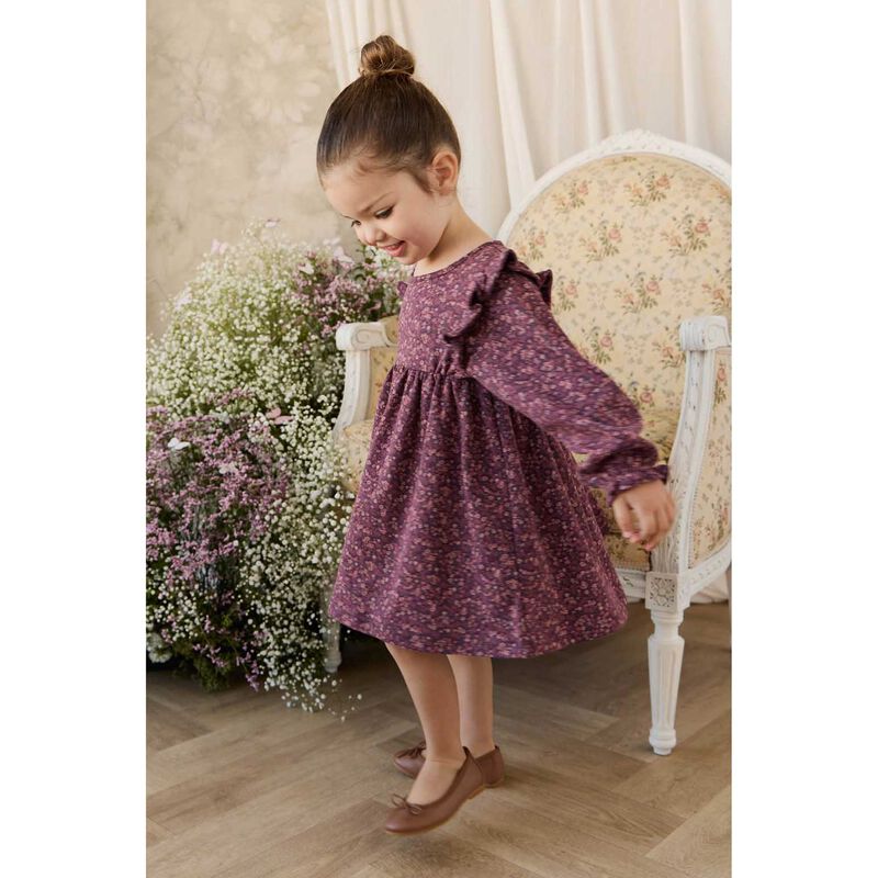 Jamie Kay Organic Cotton Frankie Dress 3-5Y image number 1
